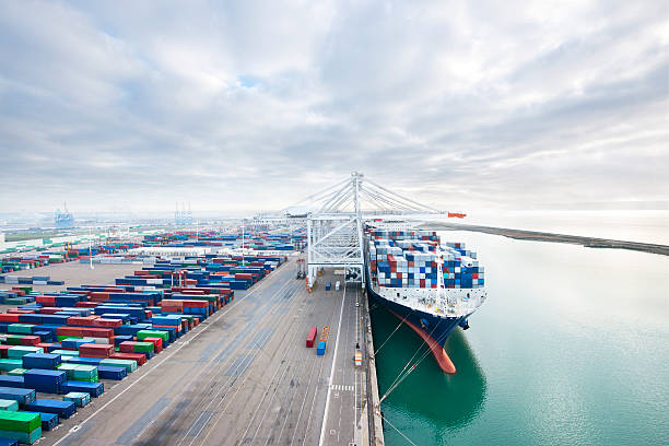 vehicle imports Australia